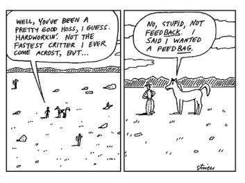 Sometimes our feedback can be a little misguided...