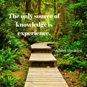 the-only-source-of-knowledge-is-experience