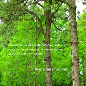 without-continual-growth-and-progress-such-words-as-improvement-achievement-and-success-have-no-meaning