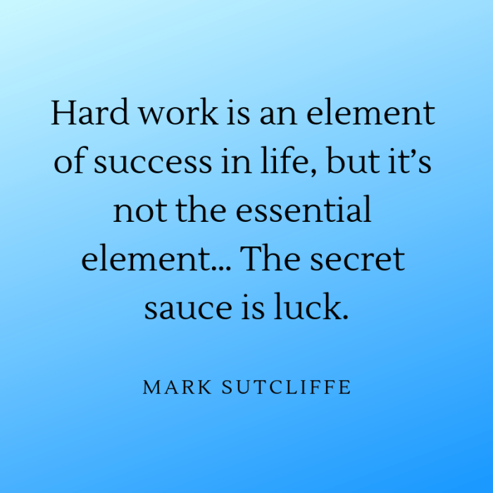 Hard work is an element of success in life, but it’s not the essential element… The secret sauce is luck.
